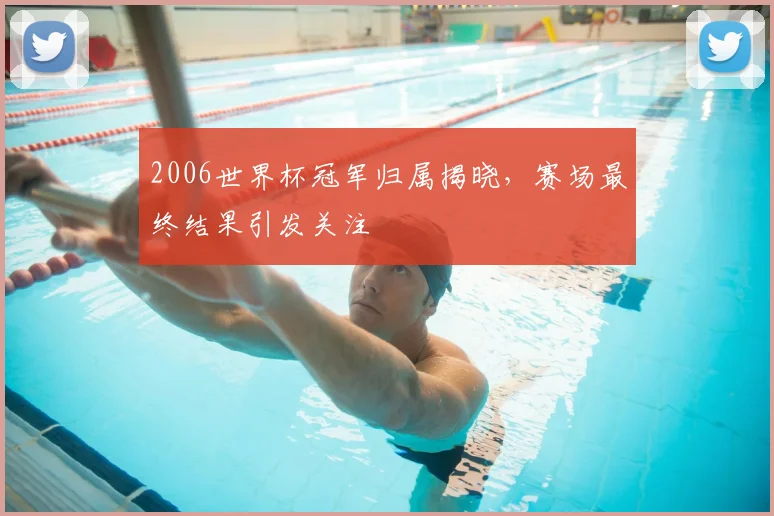 2006世界杯冠军归属揭晓，赛场最终结果引发关注