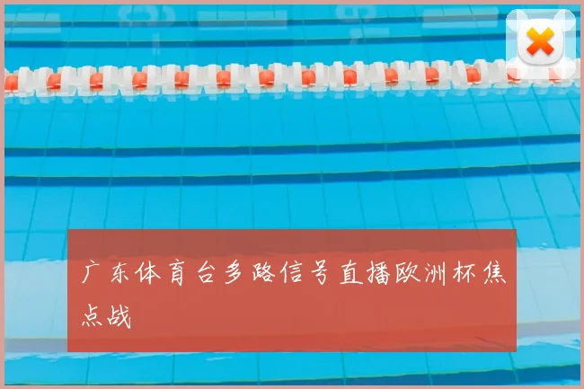 广东体育台多路信号直播欧洲杯焦点战