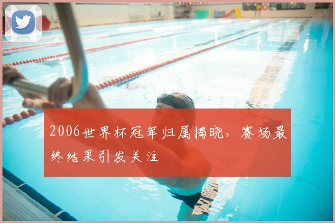 2006世界杯冠军归属揭晓，赛场最终结果引发关注