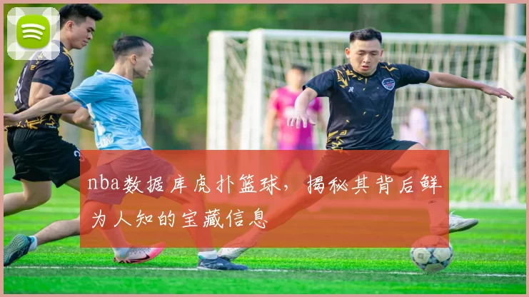 nba数据库虎扑篮球，揭秘其背后鲜为人知的宝藏信息
