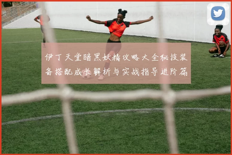 伊丁天堂暗黑妖精攻略大全秘技装备搭配成长解析与实战指导进阶篇